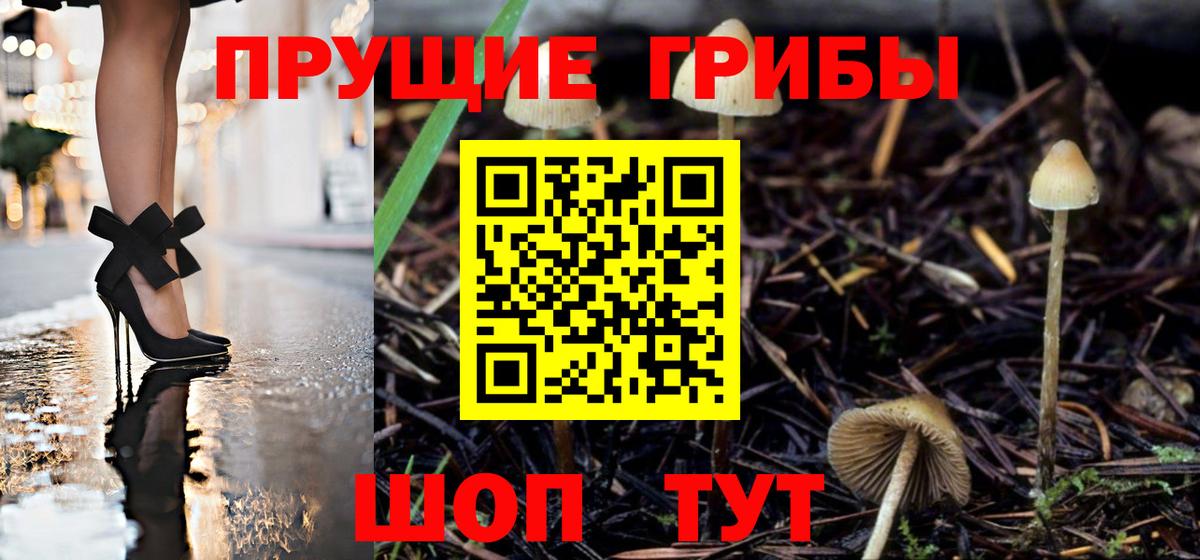 Псилоцибиновые грибы мицелий Воркута